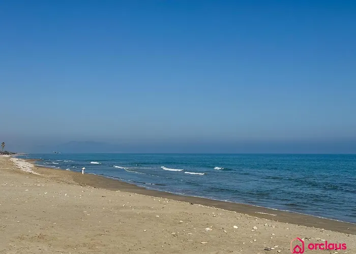 Mediterraneo *